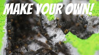 How To Make An Ant Nest Using YTONG [upl. by Ydnam]