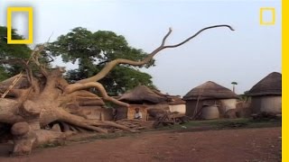 Ghanaian Witches  National Geographic [upl. by Annovahs]