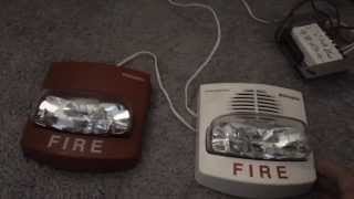 Simplex TrueAlert 49069134 ChimeStrobe Fire Alarm Test [upl. by Nigem]