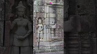 quotDid you knowquotDiscover the Secrets of Angkor Wat facts generalknowledge [upl. by Kegan]