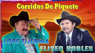 20 Éxitos de Elíseo Robles y Lupe Tijerina  Cadetes de Linares  Corridos Viejitos Mix [upl. by Mag]