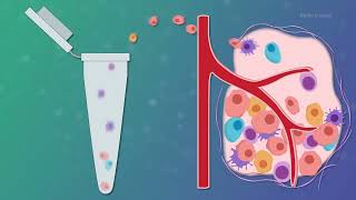 Singlecell analysis with nanopore sequencing [upl. by Donegan]