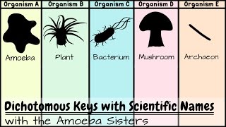 Dichotomous Keys Identification Achievement Unlocked [upl. by Charlotte]