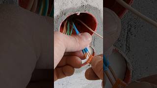 Switching off a twokey switch in a socket boxshorts electrician [upl. by Atteuqahs]