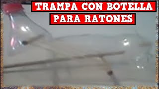 Trampa Para Ratones o Ratas con Botella tutorial completo  YMX SUPERVIVENCIA [upl. by Daniyal936]