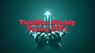 🚨🚨YieldMax New Weekly ETF’s All 34 of Them [upl. by Aholla247]