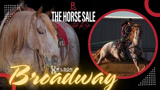 quotBroadwayquot  Wilson Cattle Co x Rancho Rio Horse Sale 2025 [upl. by Pacian]