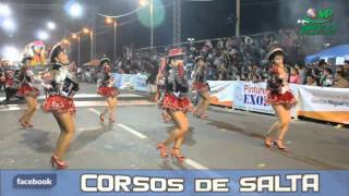 Gran Poder 2015  Corso de la Patria Grande  Meo Producciones [upl. by Agle163]