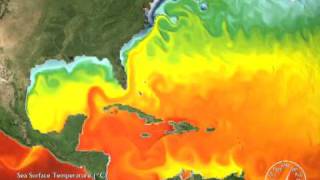 Worldwide Sea Surface Temperature Simulation 2008 3D converted [upl. by Virge]