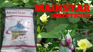 MAINSTAR INSECTICIDE  ADAMA  Diafenthiuron 50 WP [upl. by Refinney]