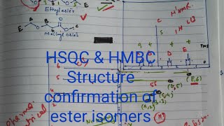 HSQC and HMBC NMR spectroscopy [upl. by Lhok]