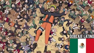 Naruto es Recibido como El Héroe de Konoha Doblaje Latino Naruto Shippuden [upl. by Nord672]