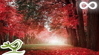 30 Minutes of Beautiful Romantic Music Guitar Music Violin Music Cello Music Piano Music ★74 [upl. by Rimat672]