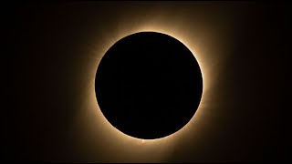 Mark Stoneys APOCACLYPSE Livestream [upl. by Zaremski]