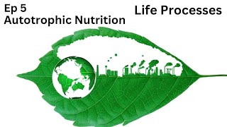 Ep 5  Autotrophic Nutrition  Life Processes  Class 10 [upl. by Anahoj]