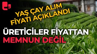 Yaş çay alım fiyatı açıklandı Üreticiler fiyattan memnun değil [upl. by Notnelc281]