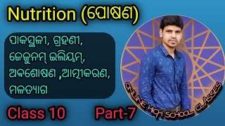 Nutrition Class 10 Odia Part7ପୋଷଣ Life Science [upl. by Emlyn]