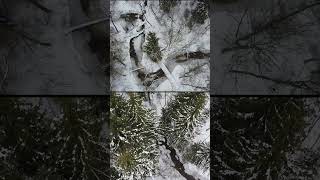 River meanders in winter winter river snow forest nature dronevideo [upl. by Navaj284]