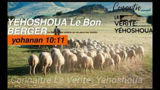 Le seul VRAI et BON BERGER cest YÉHOSHOUA VERITEBERGER [upl. by Aisac]