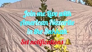 Join AmericanNazarite and I Live in the Sukkah chat [upl. by Nahsaj]