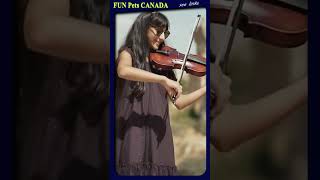 Shawn Mendes Camila Cabello 30 🎻SEÑORITA [upl. by Sturrock]