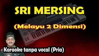 Sri mersing karaoke melayu 2 dimensi keyboard [upl. by Monto]