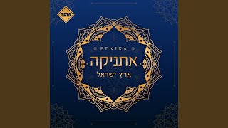 אתה לי ארץ [upl. by Ecnesse]