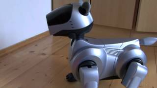 Sony AIBO ERS 210 [upl. by Elwee]