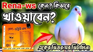 Best Multivitamin for pigeon  কবুতরকে কেন Rena WS খাওয়াবেনমাল্টি ভিটামিন কোর্স [upl. by Lorita]