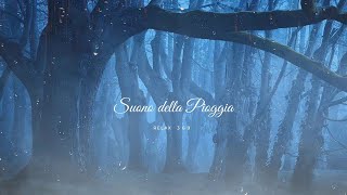 Suono Pioggia e Temporali 🍃🧘🏽☔per Profonda Meditazione🍃Studiare📜 Dormire😴 e Spa 30 Min🍃ASMR🍃RELAX [upl. by Noyek]