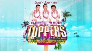 Toppers In Concert 2015  New Disco Grooves Medley [upl. by Hinson]