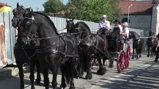 Cavalli e carrozze in sfilata a San Bernardo Ivrea 2016 [upl. by Wittenburg63]