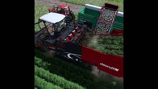 All new Dewulf ZKIVSE harvester  FS22 Premium Expansion [upl. by Alyahsal713]