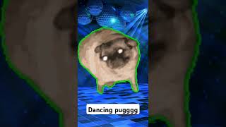 Dancing pug memes [upl. by Ardnuhs]