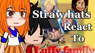 Past straw hats react to luffy family read description pleasevivi [upl. by Blithe]