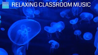 Relaxing Music For Elementary Classroom  Jellyfish Aquarium  Calm classroom music for children [upl. by Avah]