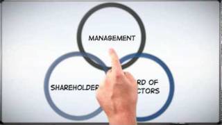 Corp 101 The Basics of Corporate Structure [upl. by Mont]