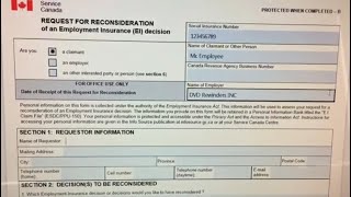 EI Reporting to Service Canada with Vacation Pay amp Statutory Holiday Cashout Part 2 [upl. by Aivirt272]