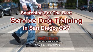 Service Dog Training San Diego [upl. by Foulk]