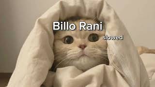 Billo Rani slowed and reverb billorani bollywoodsongs bollywoodmovies bollywood [upl. by Elahcar771]