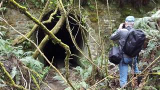 The disused Round Hill Tunnel Otago New Zealand [upl. by Plerre283]