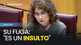 Tensión en el Senado tras la fuga de Montero quotEs un insultoquot [upl. by Dukey176]