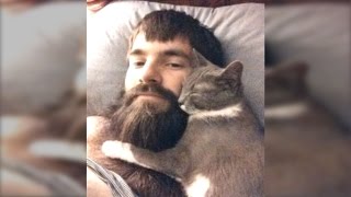 Funny Cats Love Beards Compilation  NEW HD [upl. by Eirolam]