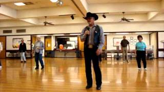 Barroom Romeo  Line Dance  Walkthroughwmv [upl. by Aldos]