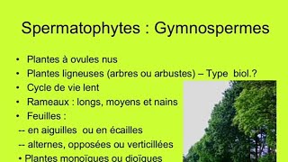 Gymnospermes  Floristique [upl. by O'Conner]