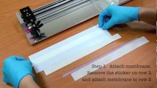 Rapid Test Immunoassay Membrane tutorial [upl. by Yremogtnom]