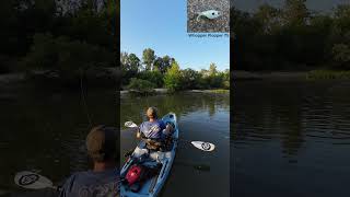 Smallmouth Bass on Crooked Creek  Kayak Fishing  Bonafide RVR 119  Nature [upl. by Ashwin]