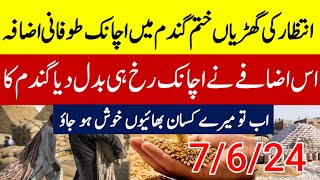 لاہور والوں کی موجیں نئی گندم کا نئی ریٹ wheat price in pakistan 2024 [upl. by Vani]