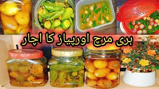 Green Chill And Onion Pickle Unique Recipe  Save Achar Full Year 100 Gauranted Method [upl. by Annaerdna]