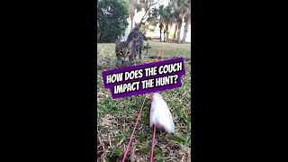 How does the couch impact the hunt [upl. by Ativ]